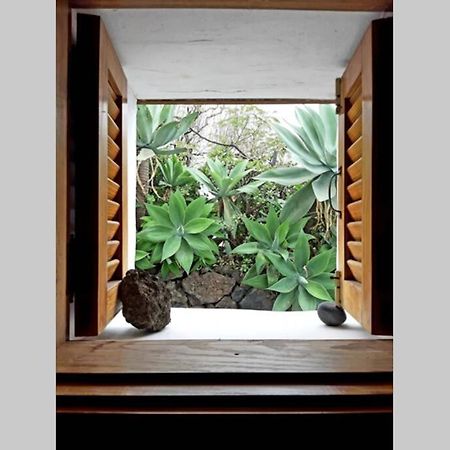 Casa Agave 1 Villa Frontera Bagian luar foto