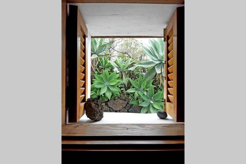 Casa Agave 1 Villa Frontera Bagian luar foto